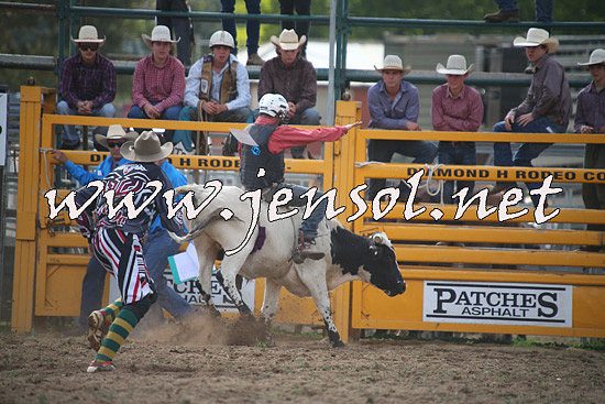 QueanbeyanRodeo2014_0552