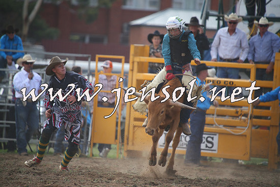 QueanbeyanRodeo2014_0815