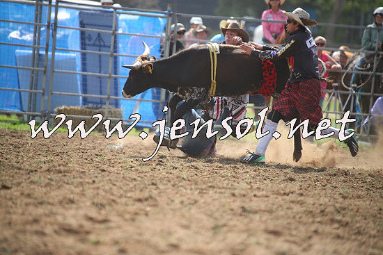 QueanbeyanRodeo2014_0783