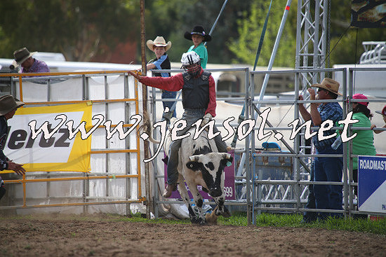 QueanbeyanRodeo2014_0561