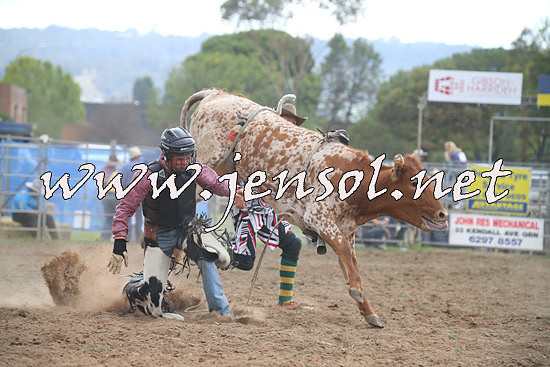 QueanbeyanRodeo2014_1194