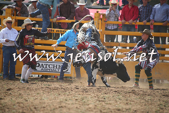 QueanbeyanRodeo2014_0750