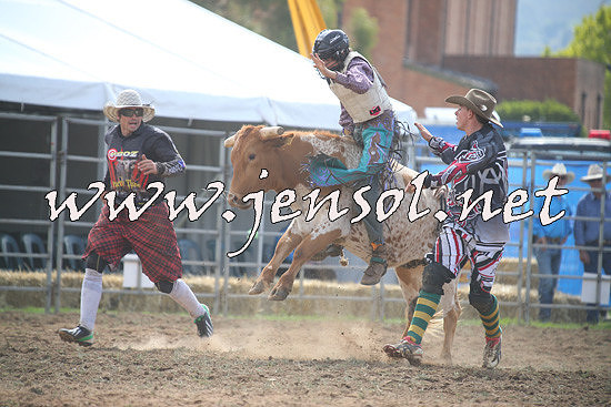 QueanbeyanRodeo2014_0841