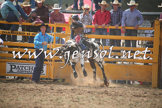 QueanbeyanRodeo2014_0739
