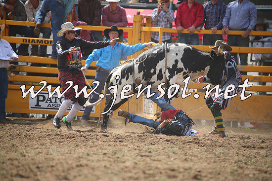 QueanbeyanRodeo2014_0747