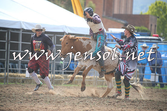 QueanbeyanRodeo2014_0842