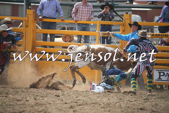 QueanbeyanRodeo2014_0847