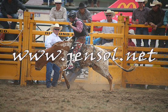 QueanbeyanRodeo2014_1170