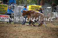 QueanbeyanRodeo2014_0465