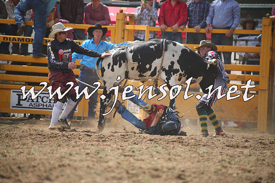 QueanbeyanRodeo2014_0748