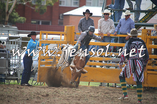 QueanbeyanRodeo2014_0497