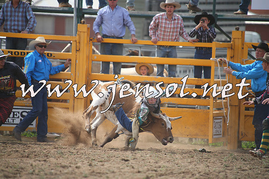 QueanbeyanRodeo2014_0853