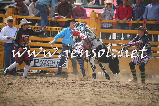 QueanbeyanRodeo2014_0755