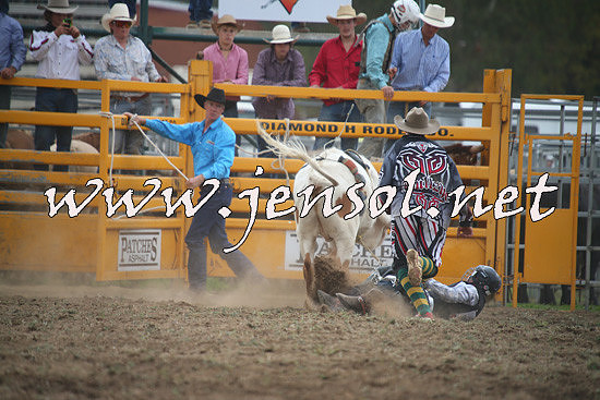 QueanbeyanRodeo2014_1265