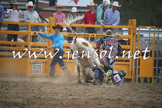 QueanbeyanRodeo2014_1262