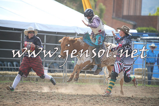 QueanbeyanRodeo2014_0843