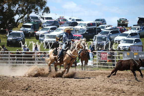 BungendoreRodeo2016-2338