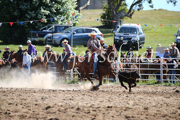 BungendoreRodeo2016-53