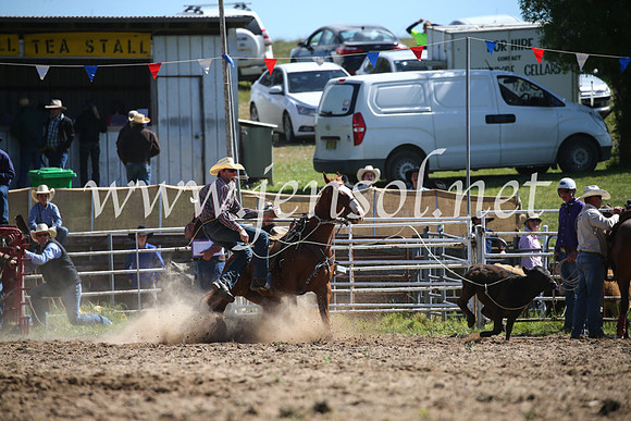 BungendoreRodeo2016-264