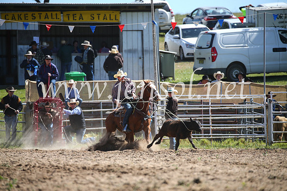 BungendoreRodeo2016-258
