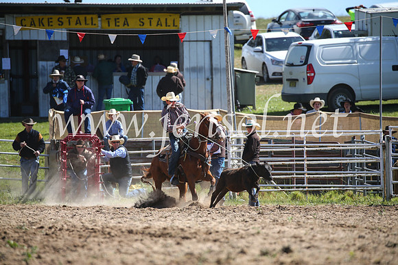 BungendoreRodeo2016-256
