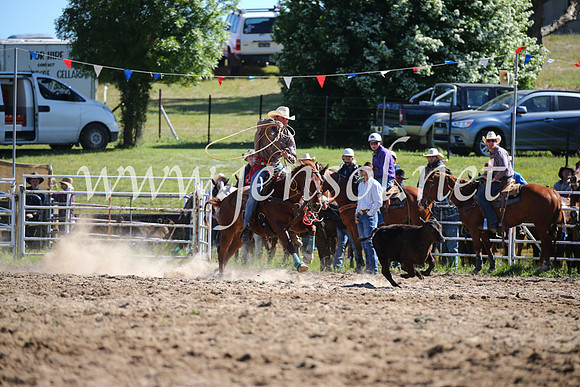 BungendoreRodeo2016-51