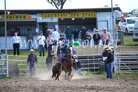 BungendoreRodeo2016-284