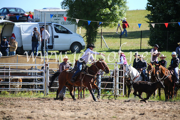 BungendoreRodeo2016-28