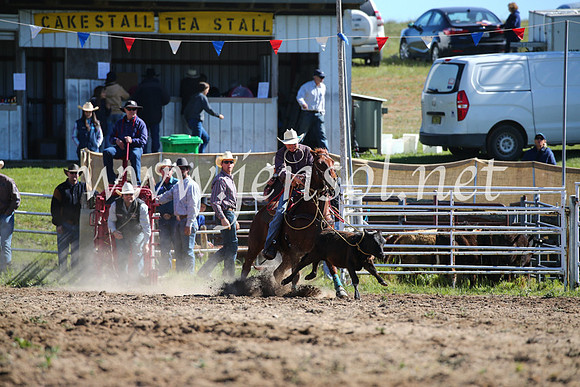 BungendoreRodeo2016-3