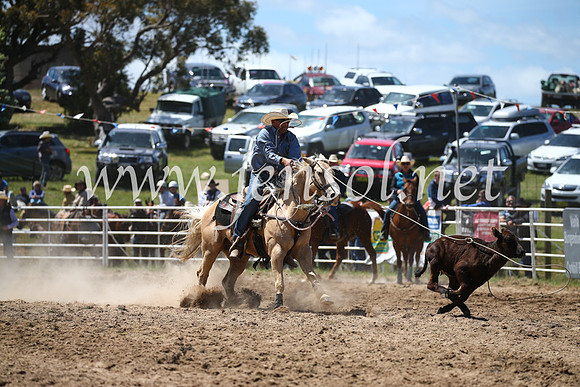 BungendoreRodeo2016-2334