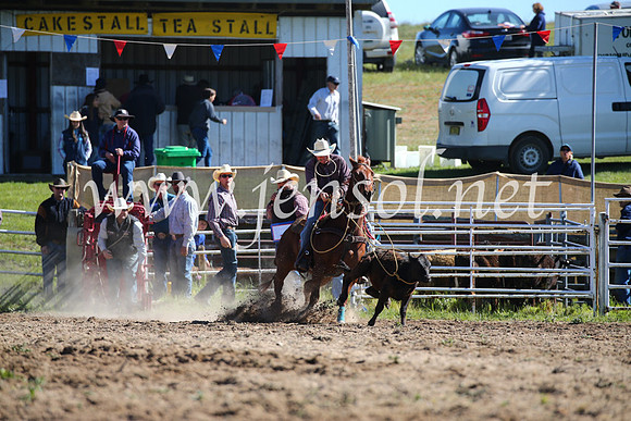 BungendoreRodeo2016-4