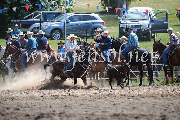 BungendoreRodeo2016-280