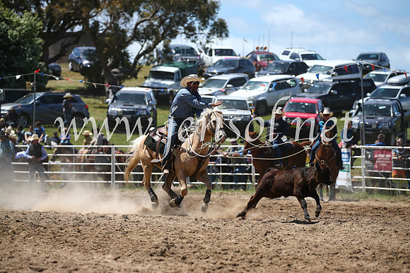 BungendoreRodeo2016-2337