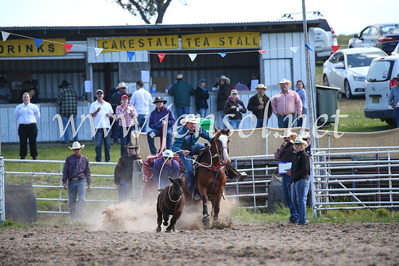 BungendoreRodeo2016-291