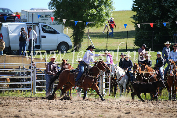 BungendoreRodeo2016-20