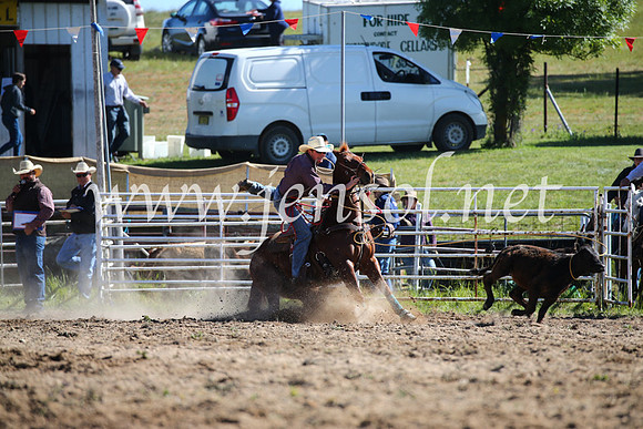 BungendoreRodeo2016-14