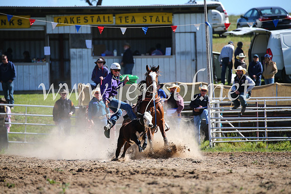 BungendoreRodeo2016-83