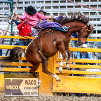 QueanbeyanRodeo2019_5565