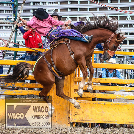 QueanbeyanRodeo2019_5565