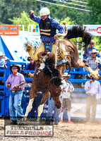 MoruyaRodeo2019_3026