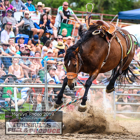 MoruyaRodeo2019_5199
