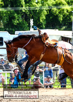 MoruyaRodeo2019_3110