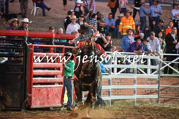 CoomaRodeo2016_3106