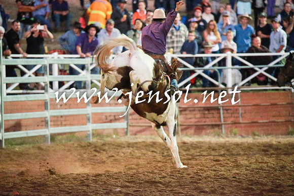 CoomaRodeo2016_3057