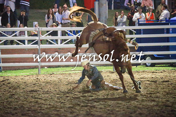 CoomaRodeo2016_3243