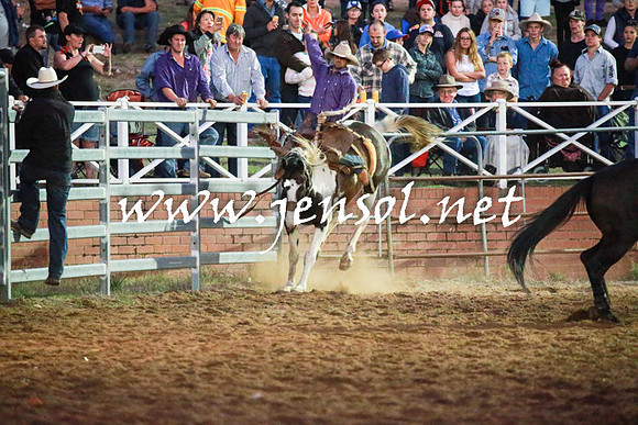 CoomaRodeo2016_3058