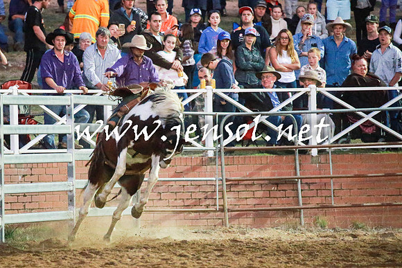 CoomaRodeo2016_3063