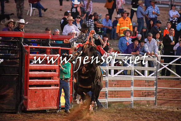 CoomaRodeo2016_3105