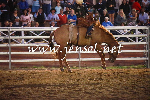 CoomaRodeo2016_3238