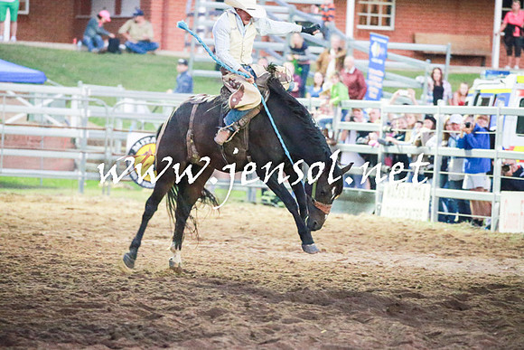 CoomaRodeo2016_2974